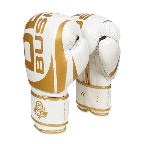 Boxerské rukavice DBX BUSHIDO DBD-B-2 v1 vel. 10 oz