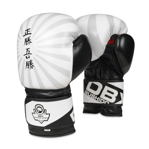Boxerské rukavice DBX BUSHIDO B-2V8 8 OZ