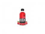 QNT Kick Drink 250 ml