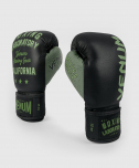 Boxerské rukavice Boxing Lab black/green VENUM