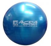 Gymnastický míč ACRA 55 cm