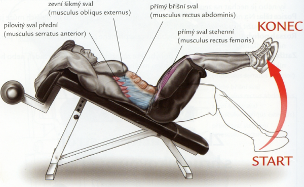 Posilovací lavice na břicho Lavice břicho šikmá - polohovací