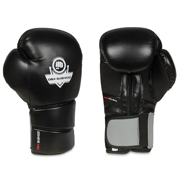 Boxerské rukavice DBX BUSHIDO B-2v9 pair