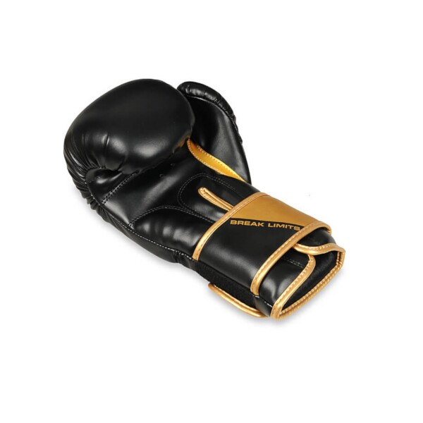 Boxerské rukavice DBX BUSHIDO B-2v10 ležící