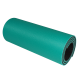 Podložka na cvičení - dvouvrstvá 12 mm světle zelená-černá