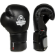 Boxerské rukavice DBX BUSHIDO B-2v9 pair 1