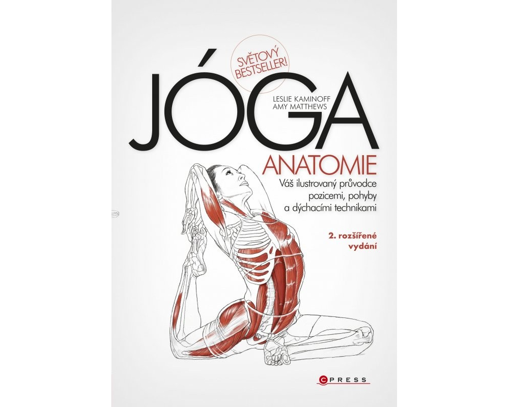 Jóga - anatomie