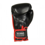 Boxerské rukavice BB4 - přírodní kůže DBX BUSHIDO inside 1
