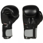 Boxerské rukavice DBX BUSHIDO B-2v9 pair 2