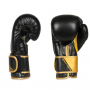 Boxerské rukavice DBX BUSHIDO B-2v10 pohled 1