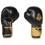 Boxerské rukavice DBX BUSHIDO B-2v10 pohled