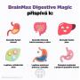 BrainMax Digestive Magic přispívá k.JPG
