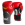 Boxerské rukavice Pro Style Elite EVERLAST