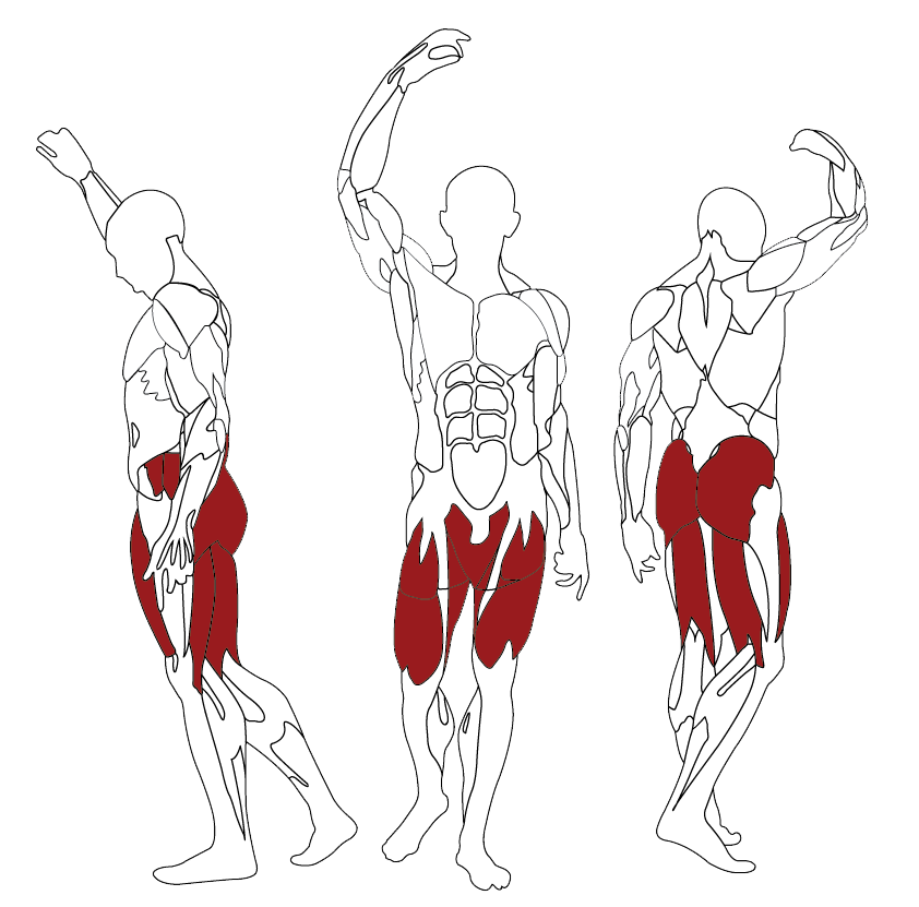 BH FITNESS L845BB svalové partie