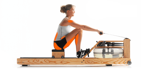NOHrD WaterRower GIF