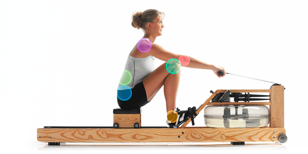 NOHrD WaterRower GIF