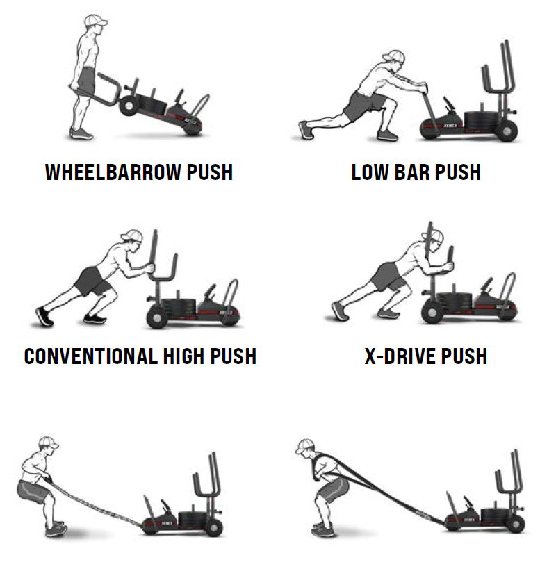 Saně XEBEX XT3 V2 Sled možnost cviků